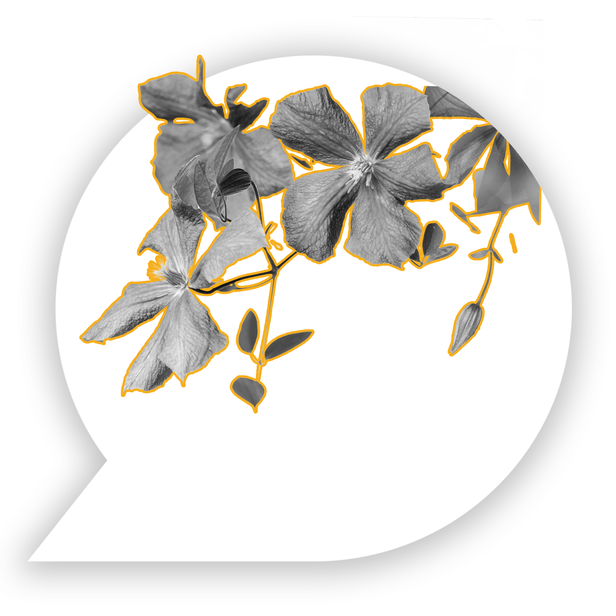 decoterrasse-conception-realisation-site-web-graphisme decoterrasse développement du site web